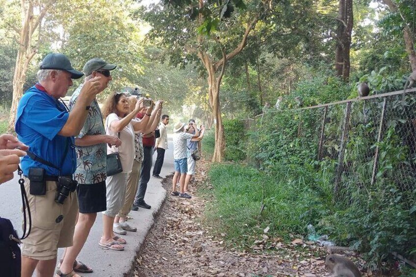 Our cruisers enjoyed photos the monkeys on the street.