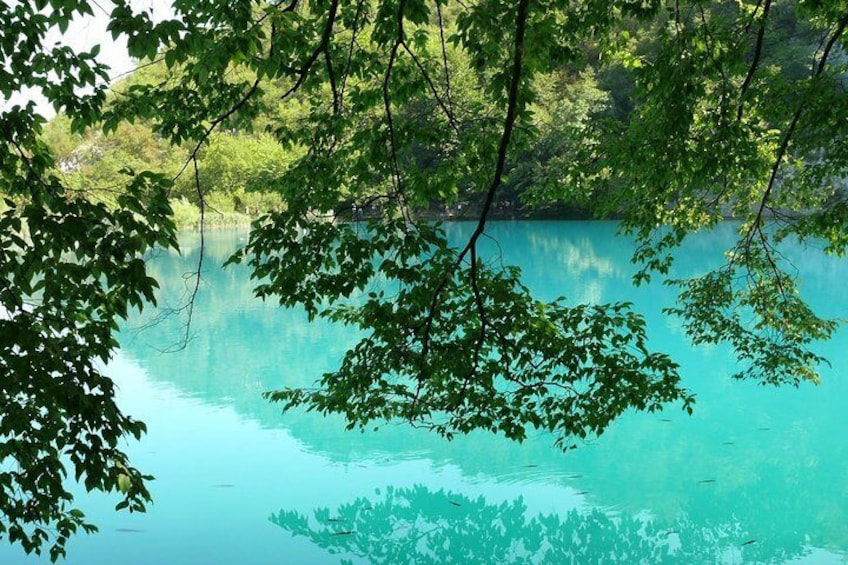 Plitvice Lakes from Zadar