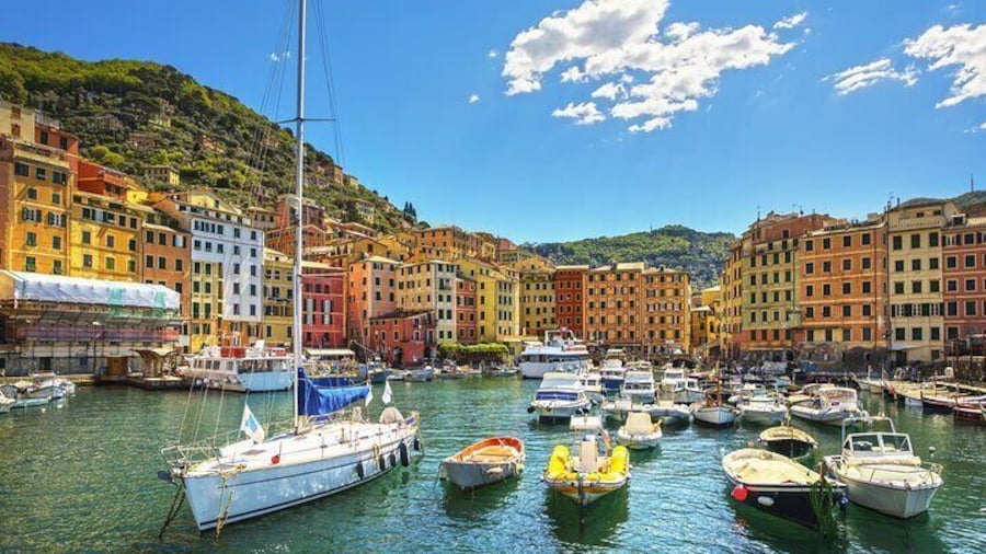 Italian Riviera Monaco Monte Carlo Full Day Shared Tour from Nice