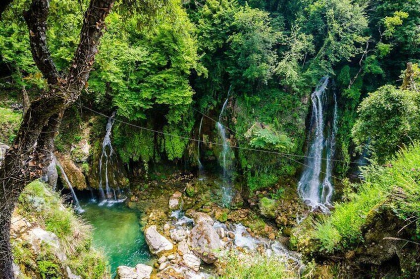 Discover Our Fields and Lake Full-Day Tour from Nice