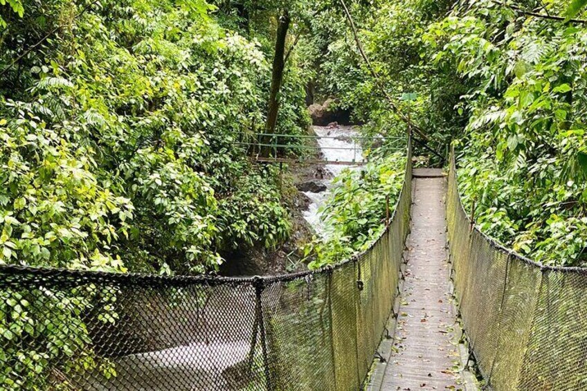 Hike Rainmaker Park with Hanging Bridges 