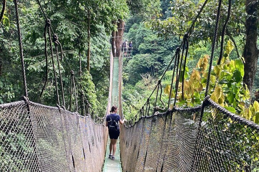 Tour to Rainmaker Park with Hanging Bridges 