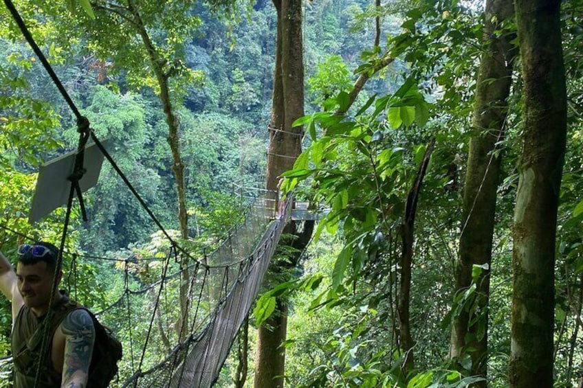 Tour to Rainmaker Park with Hanging Bridges 