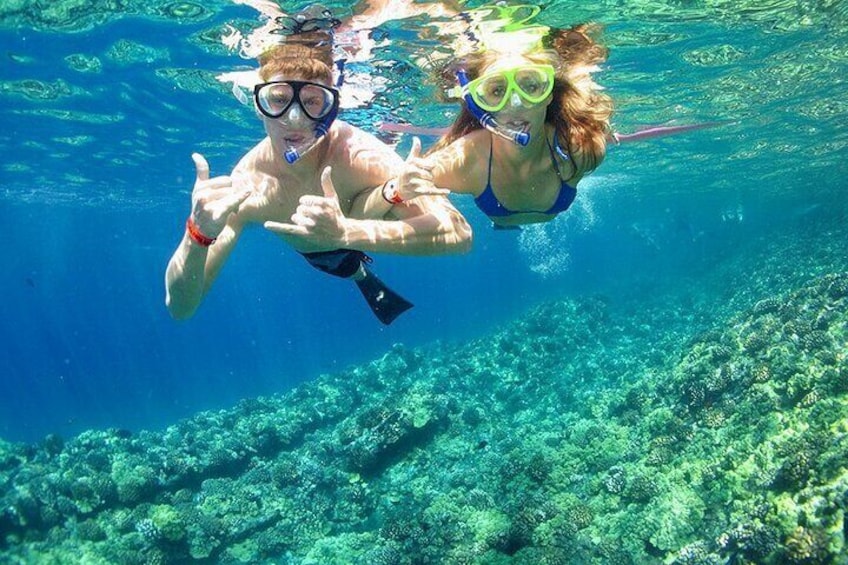 Stingray City and Reef Gardens Snorkeling Adventure on Grand Cayman