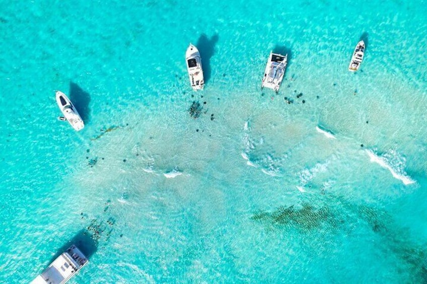 2-stop Adventure: Stingray City and snorkeling at Cayman Reefs