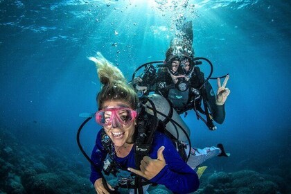 Try Scuba Diving Experience in Fujairah