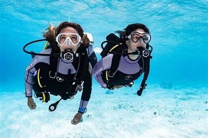 Discover Scuba Diving for beginners in Dubai
