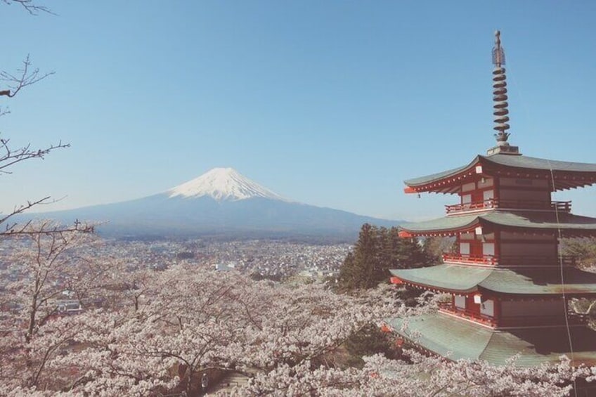 The world's most famous Mount Fuji