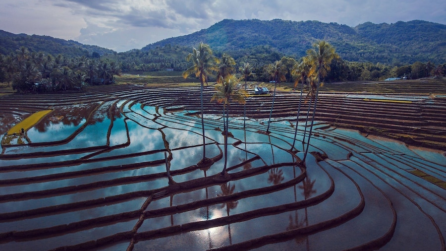 ANDA LAMANOK MYSTICAL TOUR + CADAPDAPAN RICE TERRACES + CAN-UMANTAD FALLS