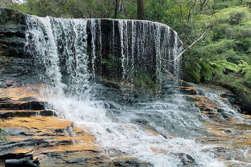 Ultimate Blue Mountains Private Tour with Scenic World and Wildlife Park