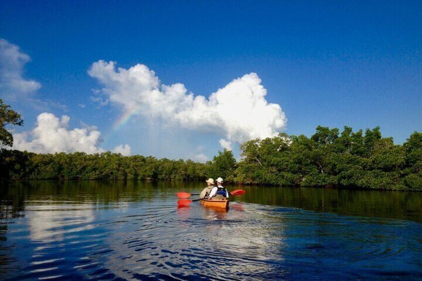 Marco Island Mangrove Tunnel and Maze Adventure 