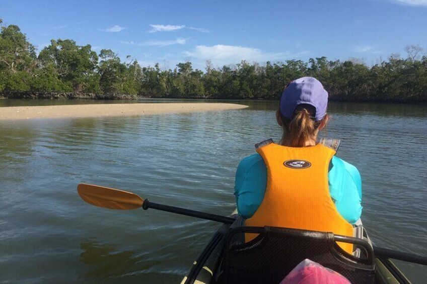 Marco Island Mangrove Tunnel and Maze Adventure 