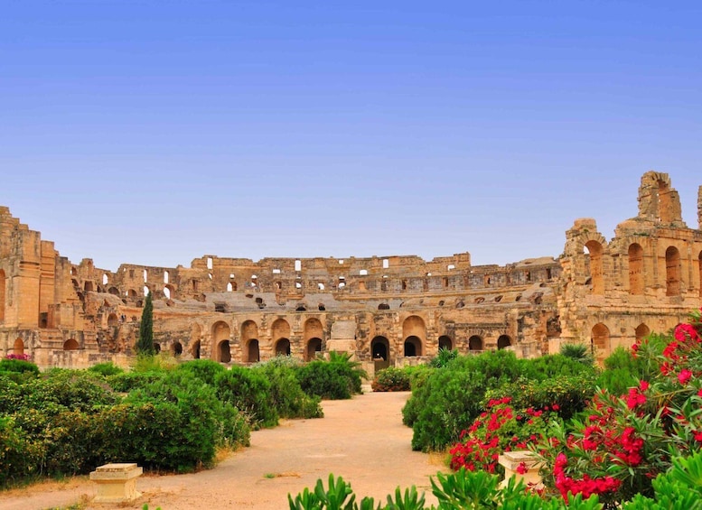 Picture 3 for Activity From Tunis: Kairouan and El Jem Private Day-Trip with Lunch