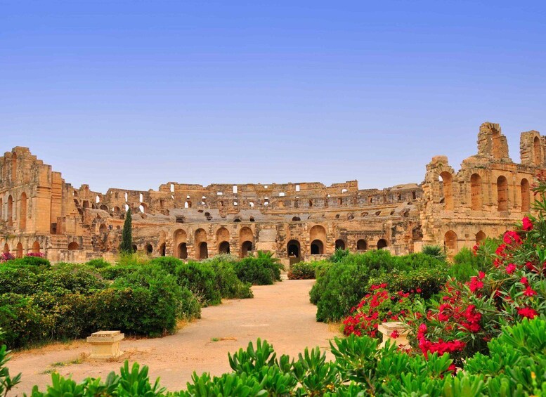 Picture 3 for Activity From Tunis: Kairouan and El Jem Private Day-Trip with Lunch