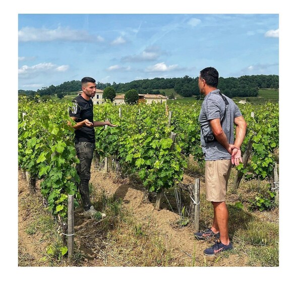 Picture 2 for Activity Saint-Émilion: Vineyard Walking Tour and Tasting