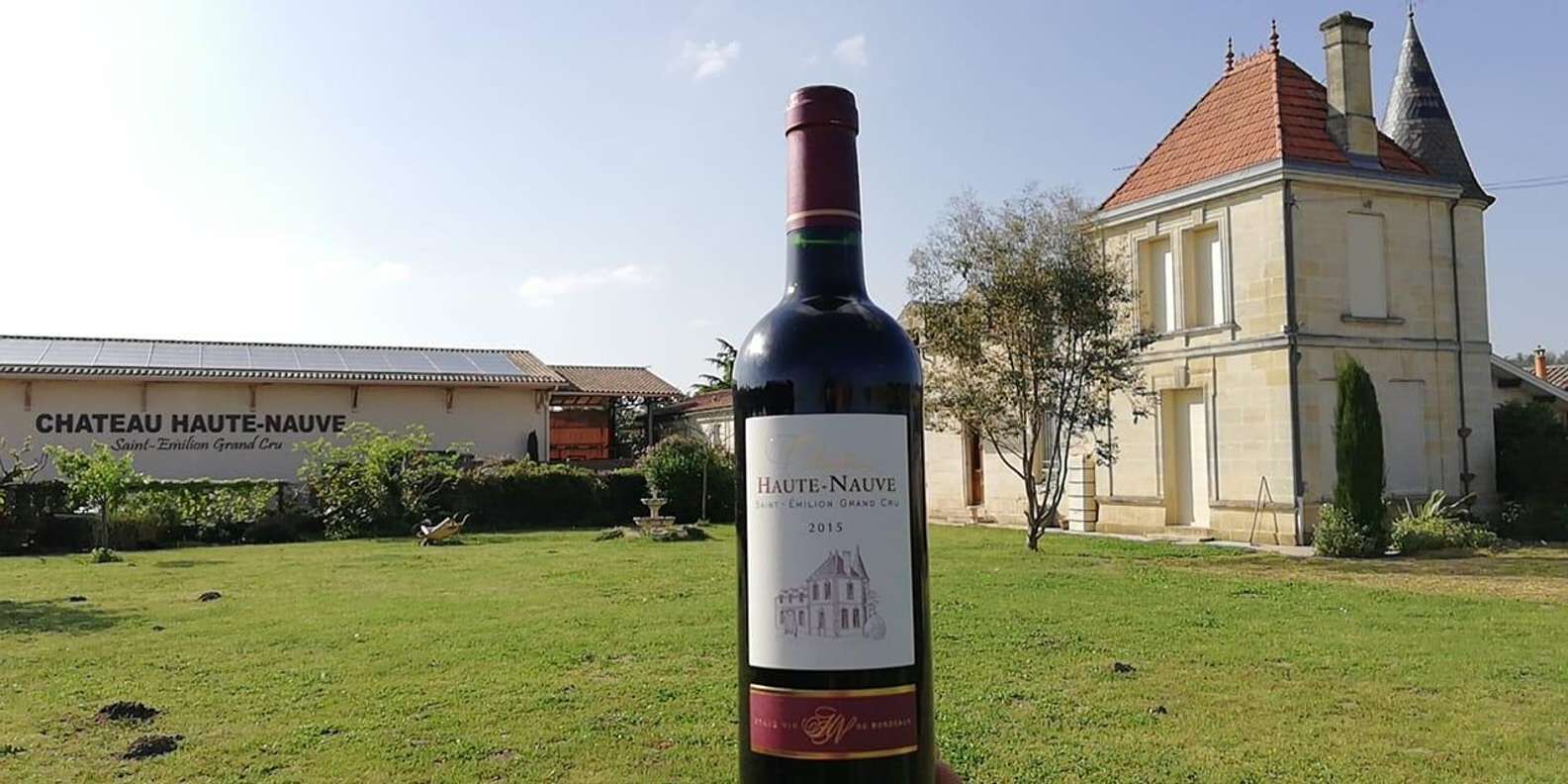 Saint-Émilion: Vineyard Walking Tour and Tasting