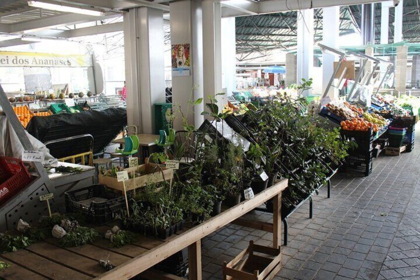 ervas Mercado da graça