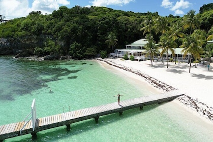 Photoshoot + Drone on a Caribbean paradise beach or day tour