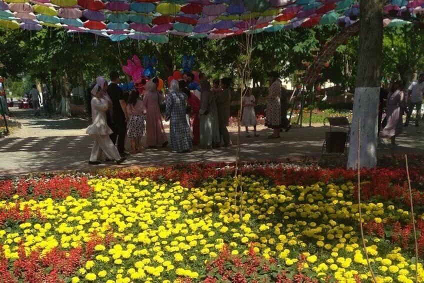 Festival of flowers 