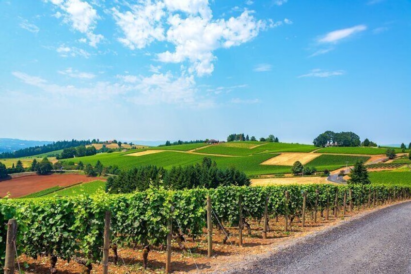 Wine History Tours in Willamette Valley Oregon