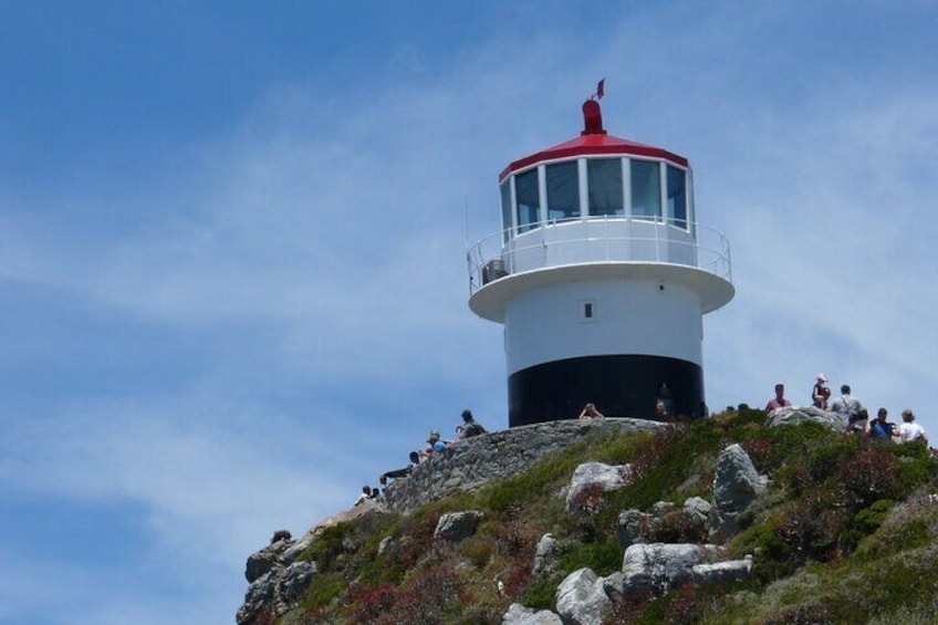 Private Tour to: Cape of Good Hope, Cape point and Boulders Beach