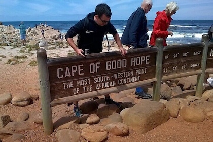 Private Tour: Cape of Good Hope, Cape point and Boulders Beach