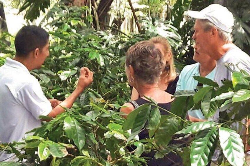 Half-Day Cultural Safari Tour from Cap Cana