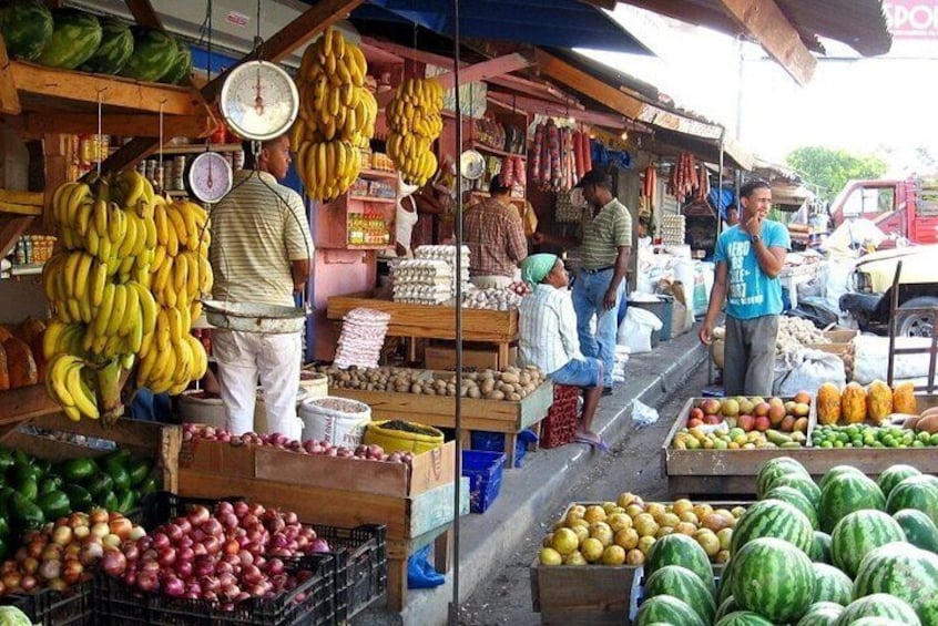 Half-Day Cultural Safari Tour from Cap Cana