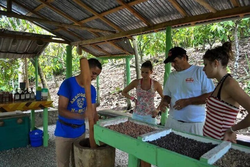 Half-Day Cultural Safari Tour from Punta Cana