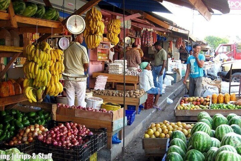 Half-Day Cultural Safari Tour from Punta Cana