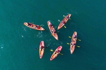 3 Hours Kayaking in Kotor Bay in Montenegro