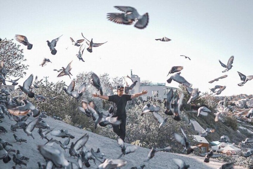 Pigeon Valley