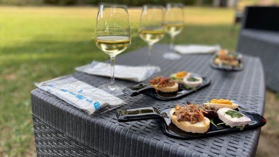 Guided E-Bike tour with food and wine tasting