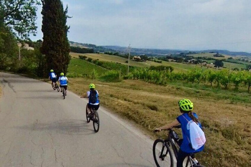 Guided E-Bike tour with food and wine tasting