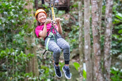 Rainforest Adventures St. Lucia Luftseilbahn und Zipline Tour