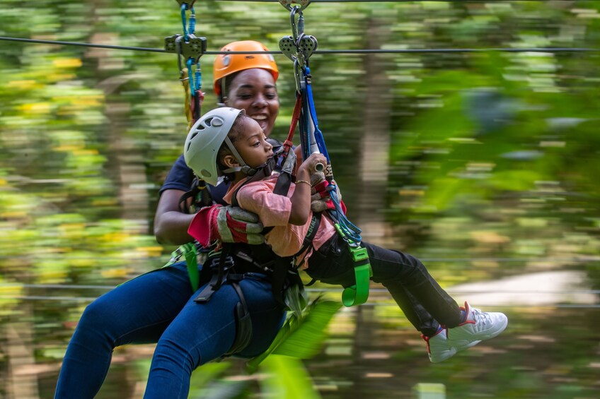 Rainforest Adventures St Lucia Aerial Tram and Zipline Tour