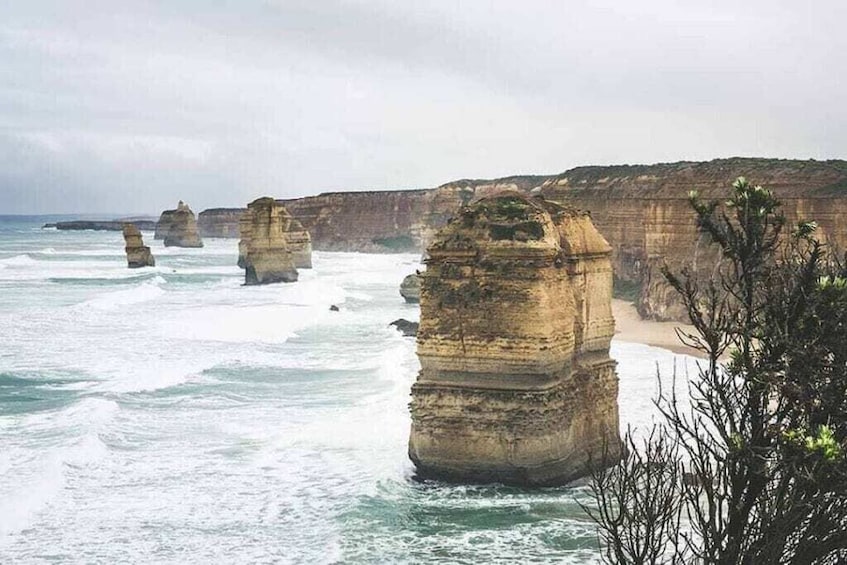 Great Ocean Road and Beyond Melbourne to Adelaide 4-day 3 night small group