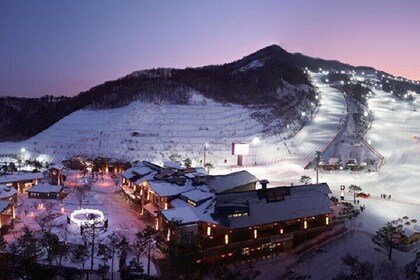 Full-Day Private Ski Lesson in Gyeonggi, South Korea