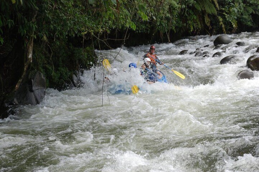 Rafting Sarapiqui River Class II-III Costa Rica