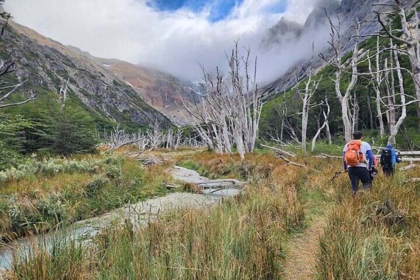 Small group Trekking to Albino Glacier