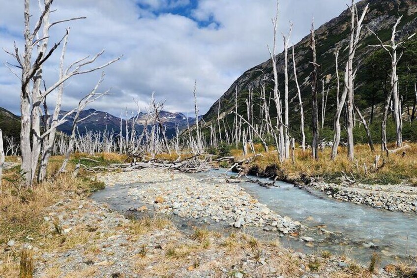 Small group Trekking to Albino Glacier