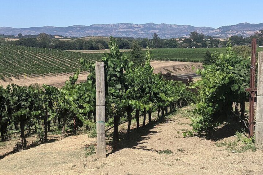 6 Hour Napa and Sonoma Valley Wine Tour from San Francisco