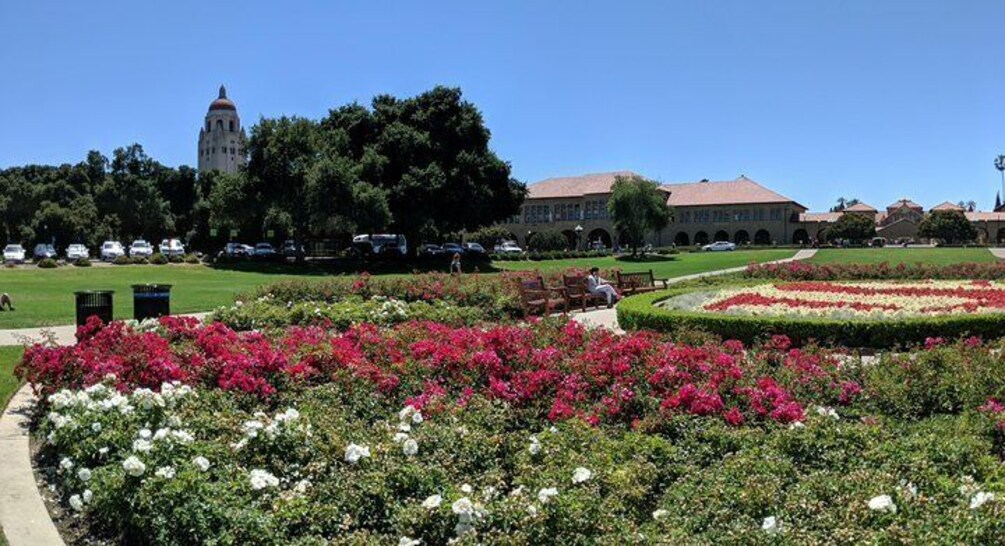 Stanford university