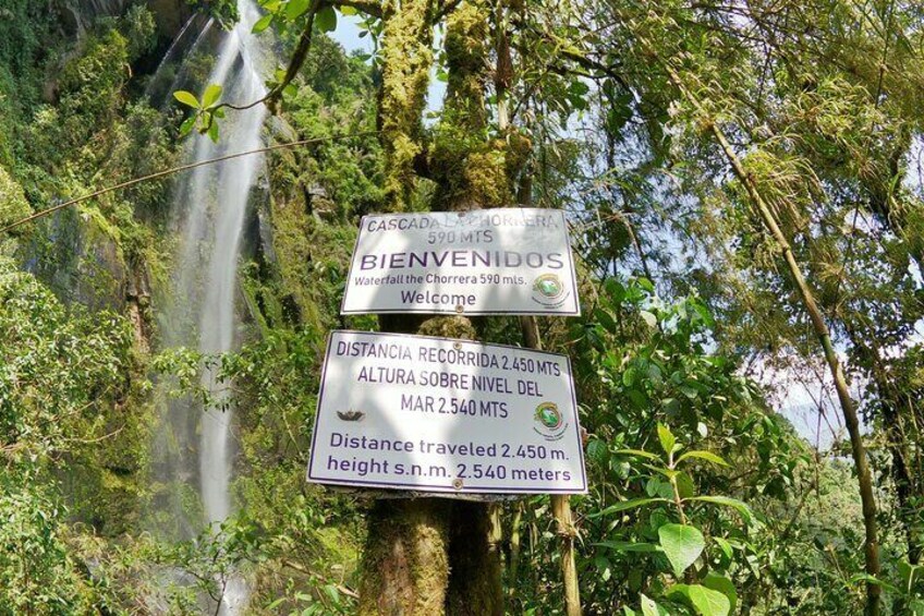 Walk to the La Chorrera waterfall, seasonal tour, Bogotá.