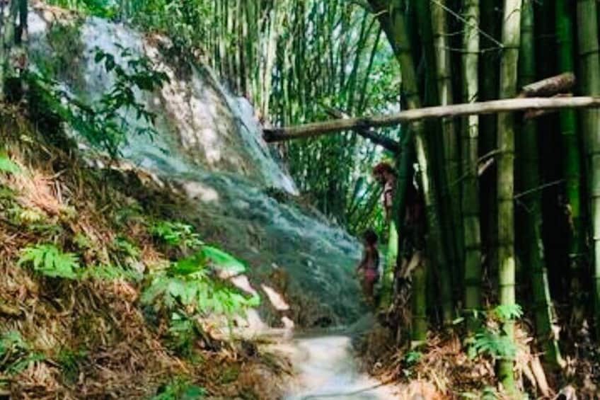 Bamboo Rafting & Jerk Picnic by the Waterfalls