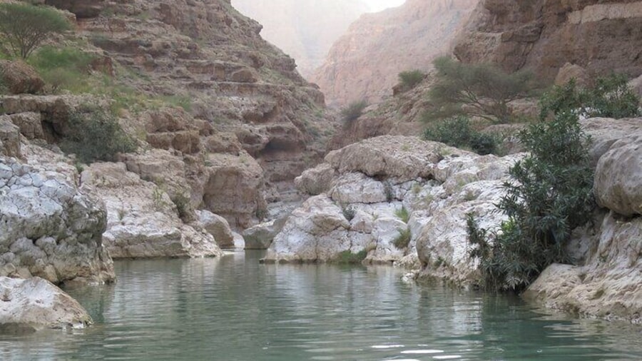 Wadi Shab Tour From Muscat