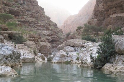 Wadi Shab Tour From Muscat