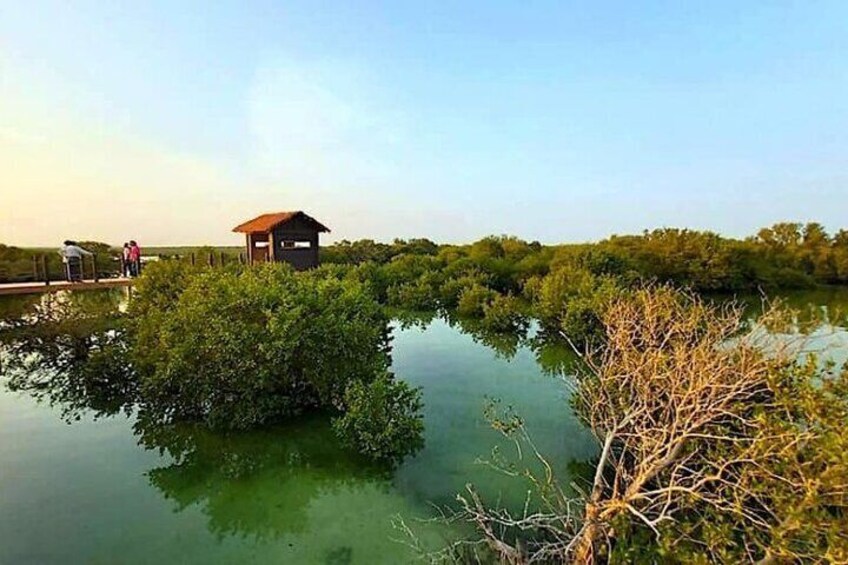 purple island
