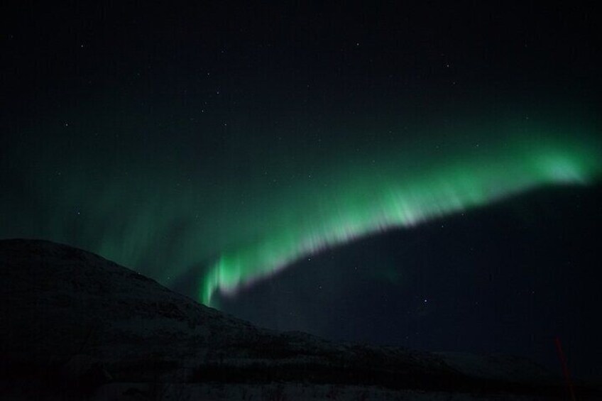 Northern Light Chase with Boat