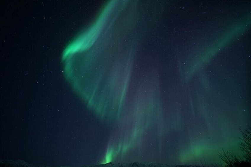 Northern Light Chase with Boat